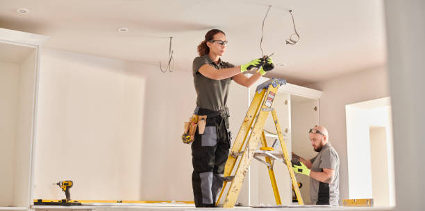 Best Electric Panel Repair  in Murphy, TX