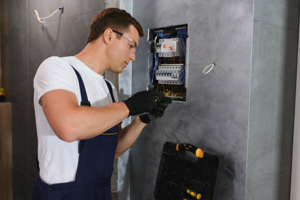 Best Electric Panel Repair  in Murphy, TX